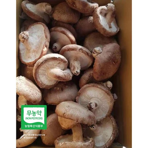 없어서 못사는 굿뜨래 대자연 생표고버섯2kg 베스트 상품