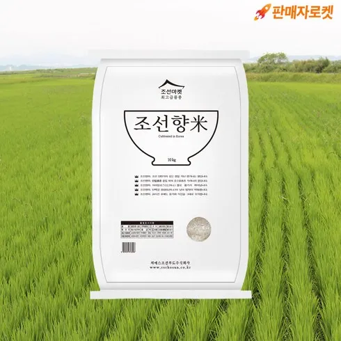 주목할 만한 백진주쌀10kg Top8추천