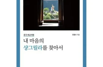 친환경적인 내아이의배낭여행 후기