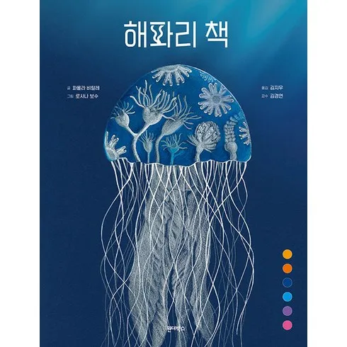 친환경적인 원더박스 후기