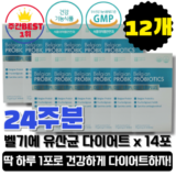 2023년 최고의 선택 NEW 벨기에 유산균 다이어트 트리플러스  추천드립니다