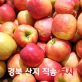 가성비 최고 장길영 부사 보조개 사과 3kg2박스  총6kg 추천드립니다